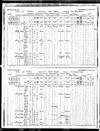 1891 Census of Canada(9).jpg